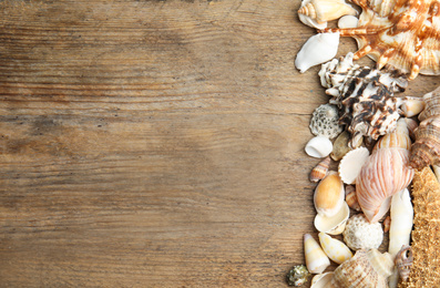 Photo of Sea shells on wooden background, flat lay. Space for text