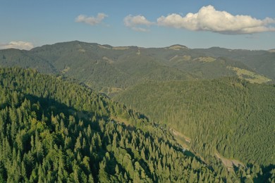 Aerial view of beautiful mountain landscape with forest on sunny day