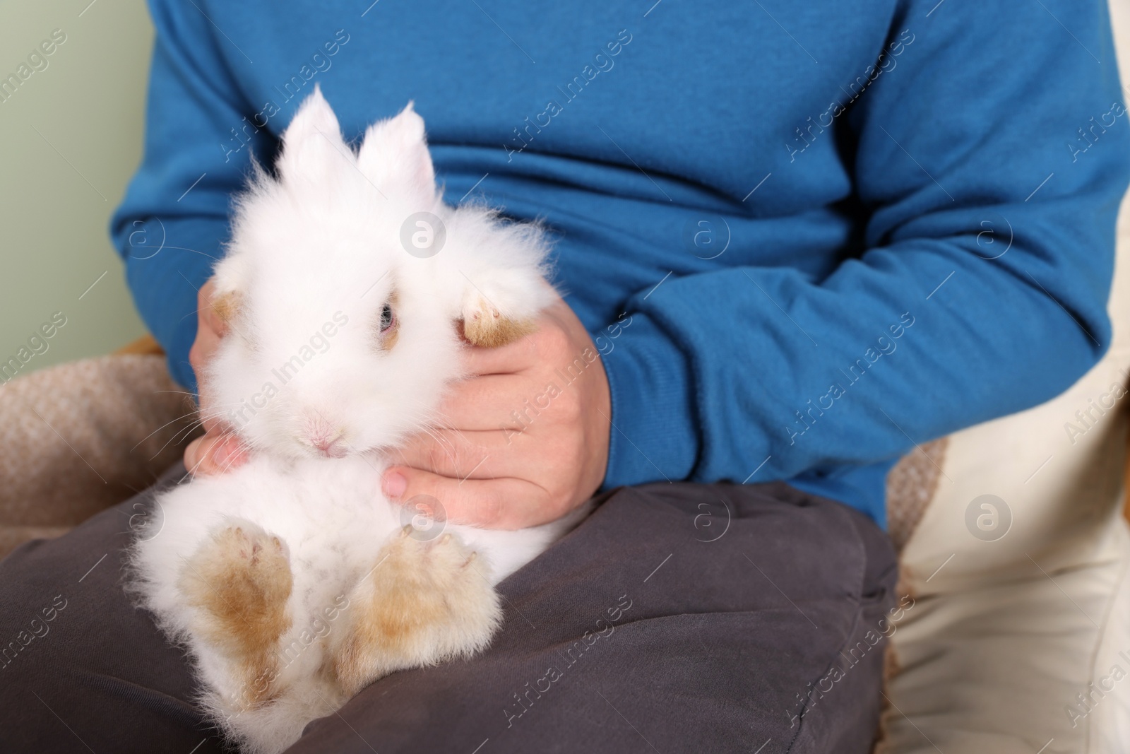 Photo of Man with fluffy white rabbit, closeup. Cute pet