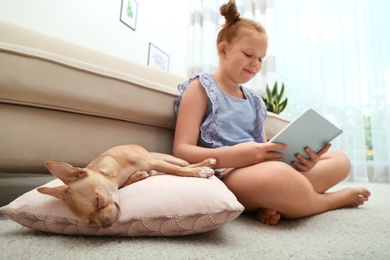 Photo of Cute little child reading book while her Chihuahua dog sleeping at home. Adorable pet
