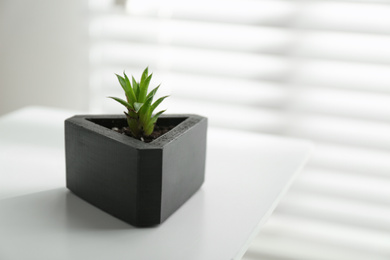 Photo of Succulent plant in black pot on white table, closeup. Space for text