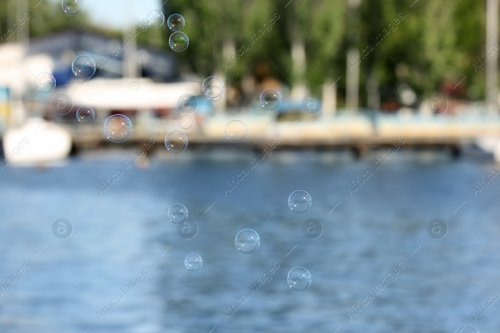 Photo of Beautiful translucent soap bubbles outdoors on sunny day