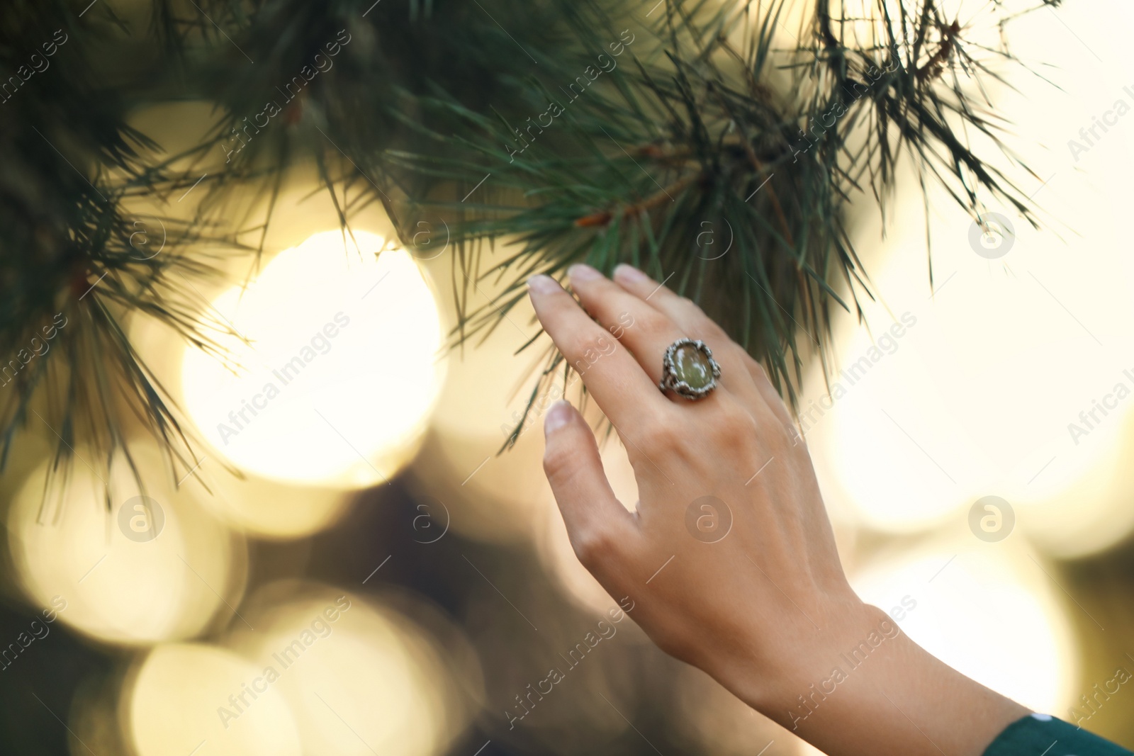 Photo of Young woman wearing beautiful silver ring with prehnite gemstone near pine, closeup