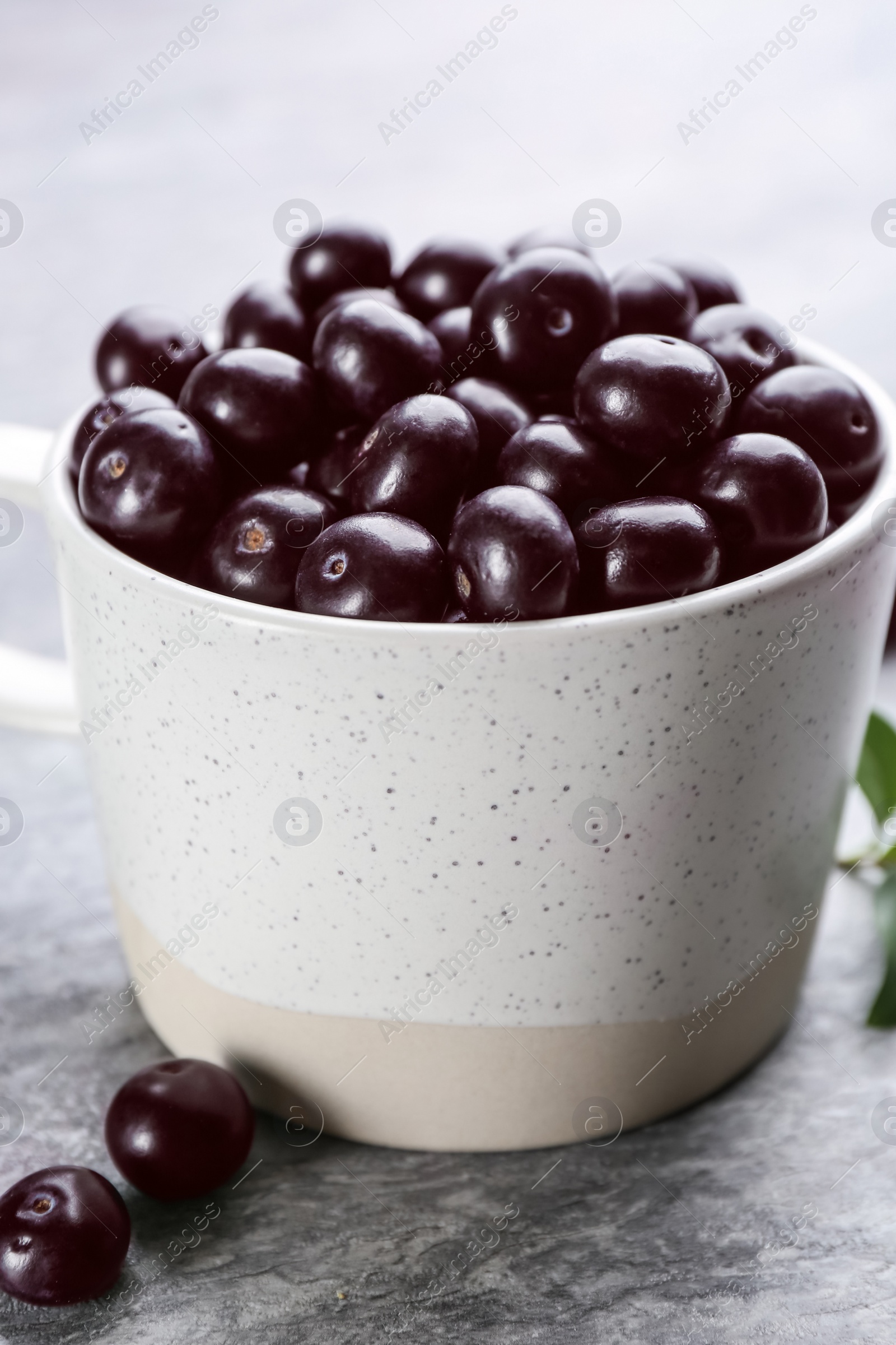 Photo of Fresh acai berries in mug on light grey table, closeup