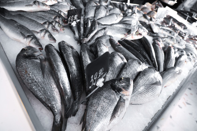 Different types of fresh fish on ice in supermarket