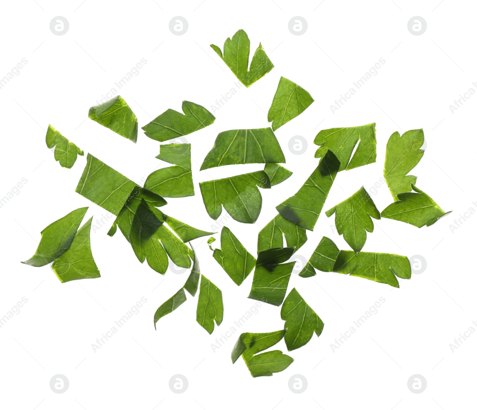 Photo of Cut fresh green parsley on white background