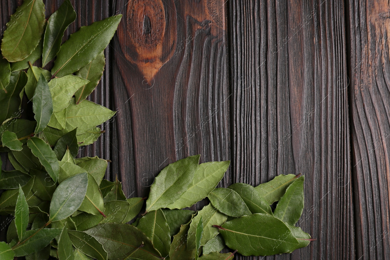 Photo of Fresh green bay leaves on wooden table, flat lay. Space for text