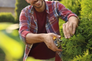 Photo of Happy man cutting bush outdoors on sunny day, closeup. Gardening time