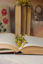 Beautiful dried flowers in book on wooden table, closeup