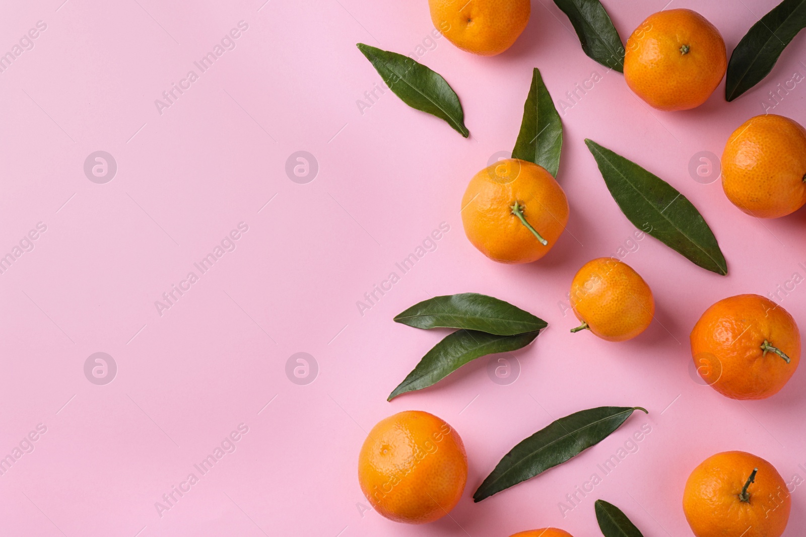 Photo of Fresh ripe tangerines on pink background, flat lay. Space for text