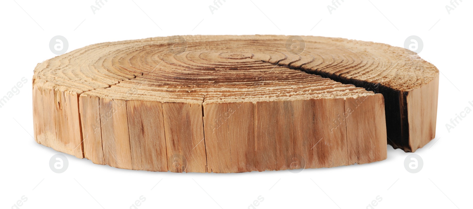 Photo of Cracked tree stump as decorative stand isolated on white