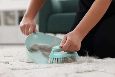 Photo of Woman with brush and scoop removing pet hair from carpet at home, closeup