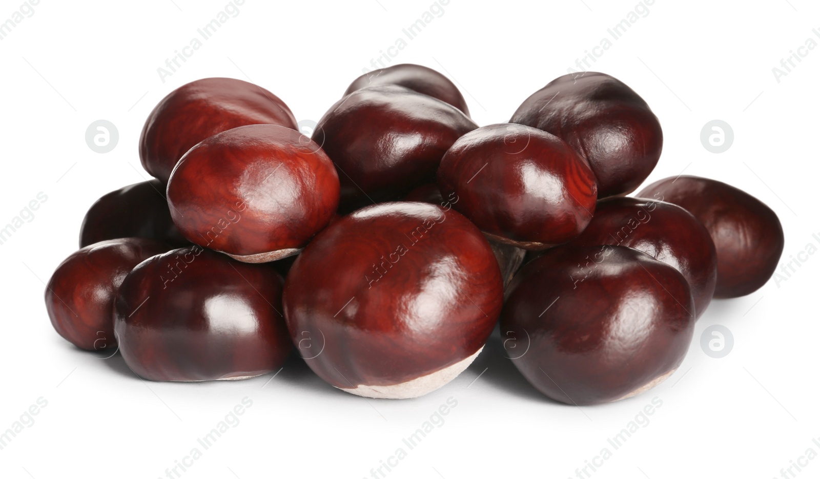 Photo of Pile of horse chestnuts isolated on white