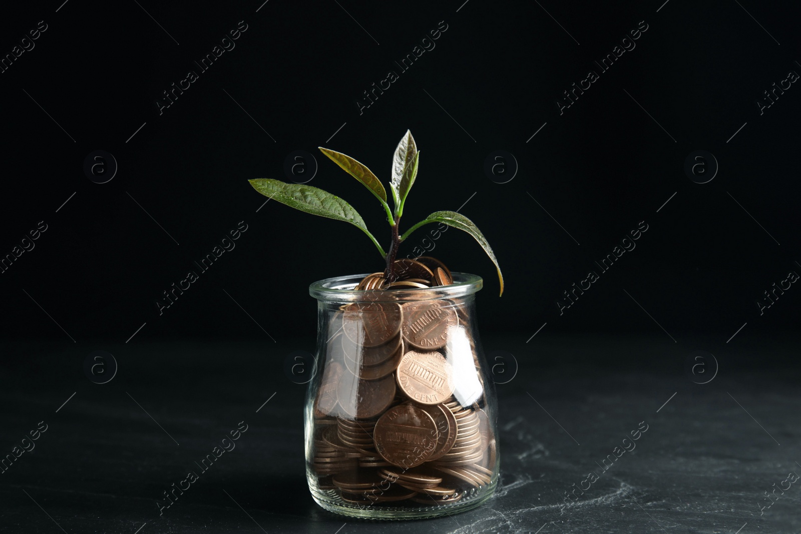 Photo of Glass jar with coins and green plant on black table