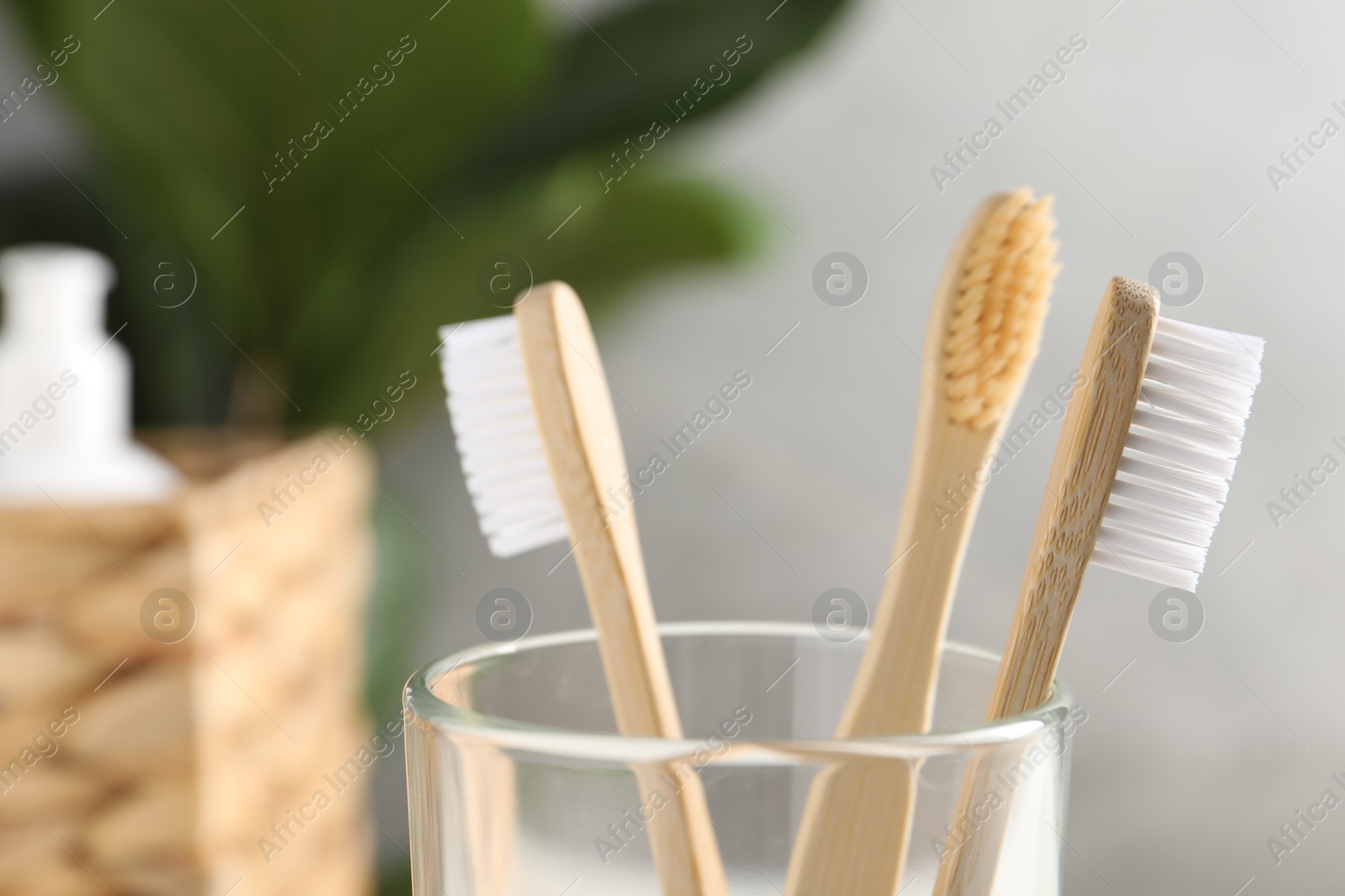 Photo of Bamboo toothbrushes in holder on blurred background, closeup