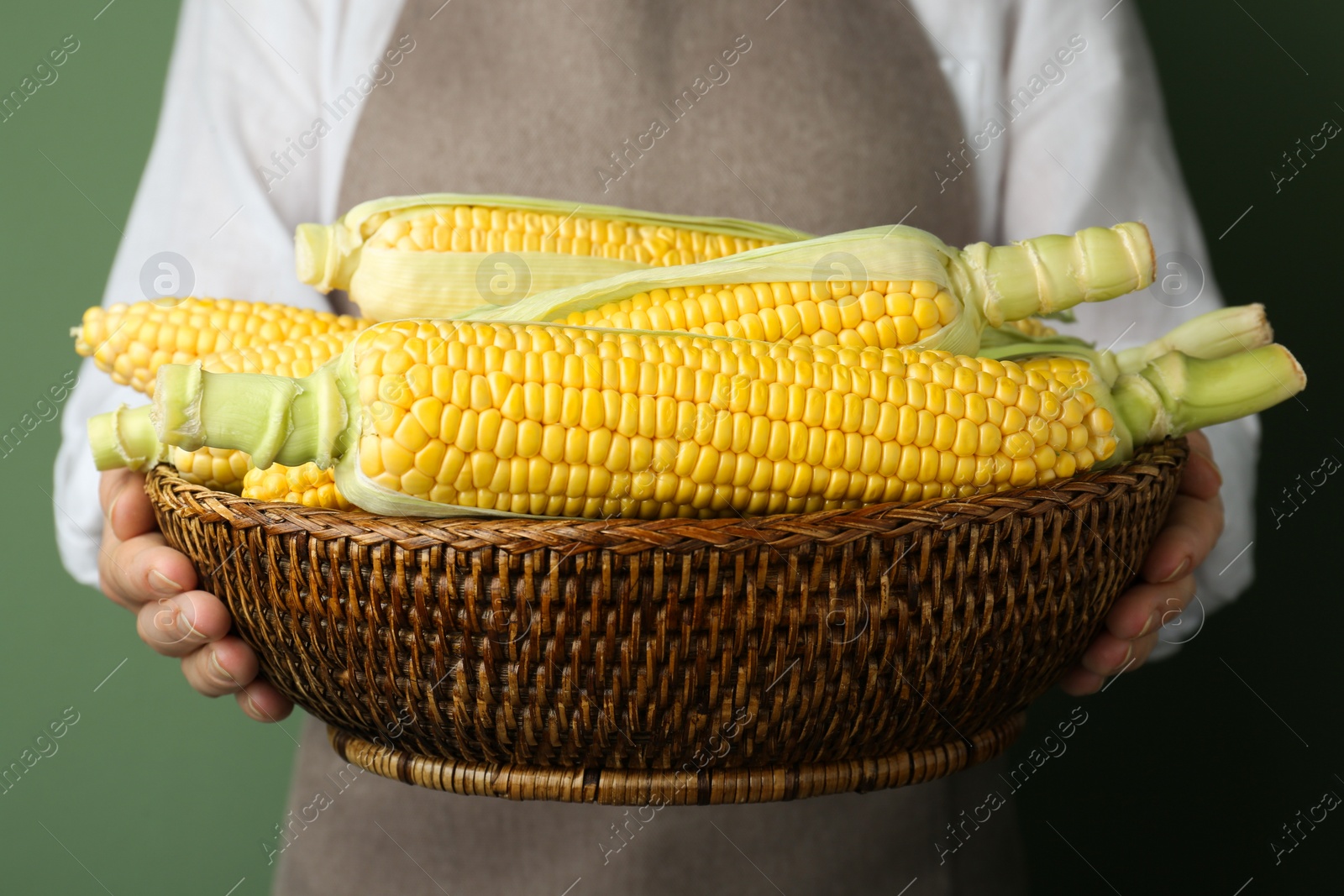 Photo of Woman holding wicker basket with tasty fresh corn cobs on green background, closeup