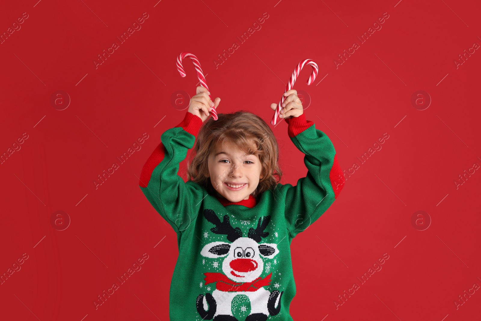 Photo of Cute little girl in Christmas sweater holding sweet candy canes near head against red background