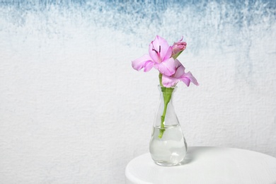 Photo of Vase with beautiful gladiolus flowers on table against light background