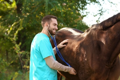 Photo of Veterinarian in uniform examining beautiful brown horse outdoors