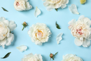 Beautiful peonies on color background, flat lay