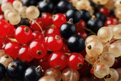 Photo of Different fresh ripe currants as background, closeup