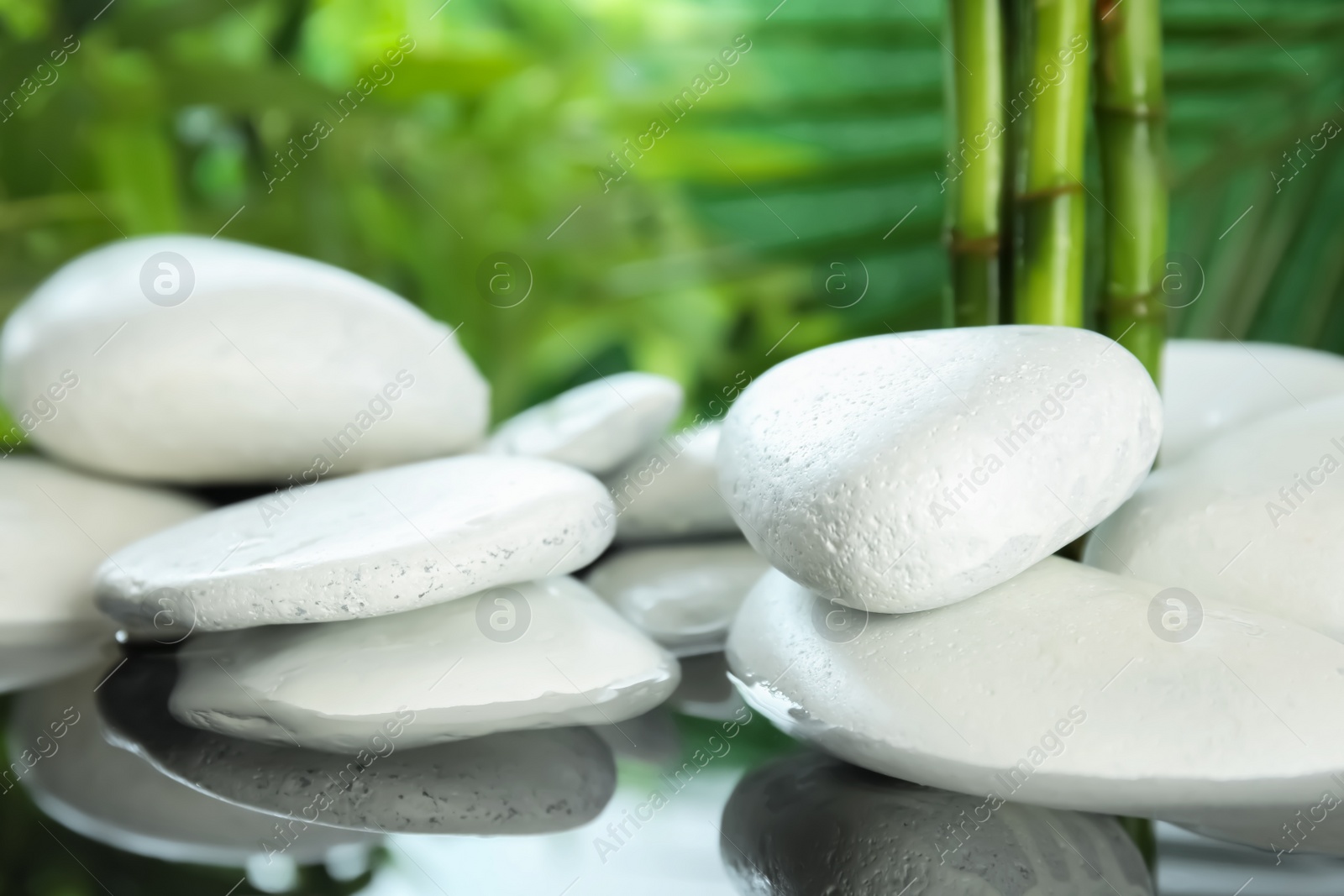 Photo of White zen stones in water on blurred background