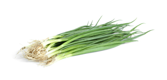 Fresh green spring onions isolated on white