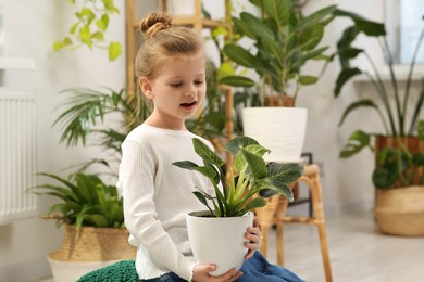 Cute little girl holding beautiful green plant at home. House decor