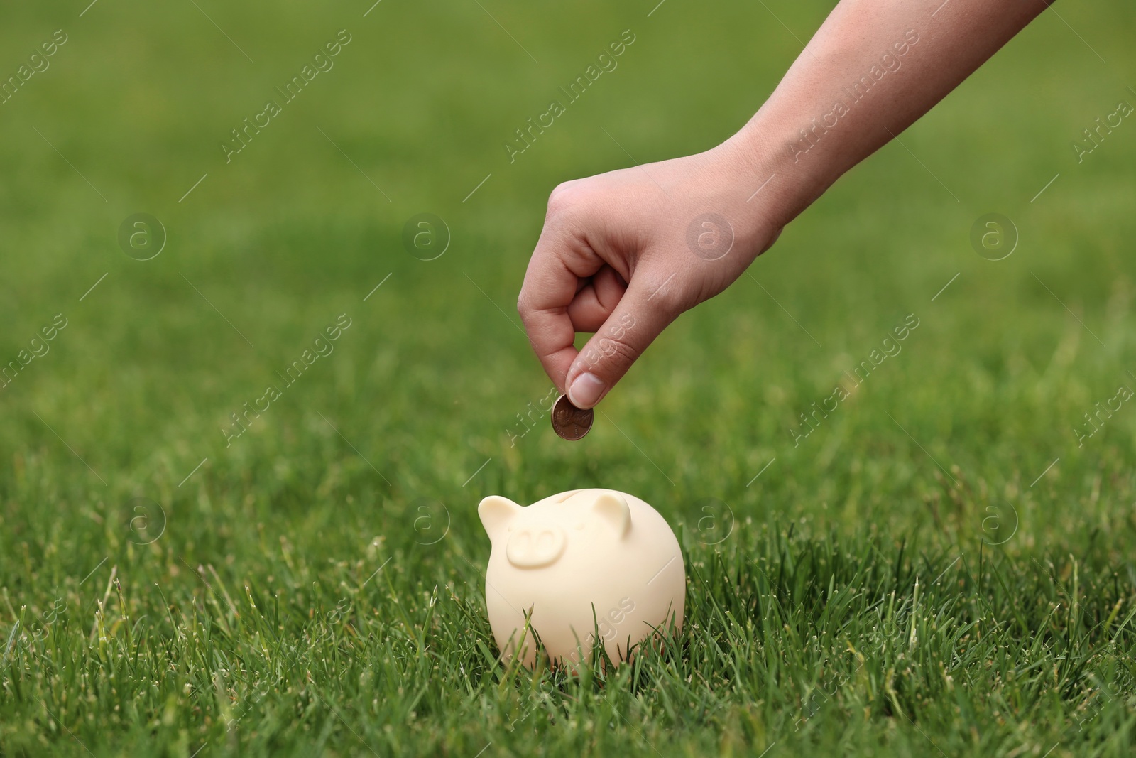 Photo of Young woman putting coin into piggy bank on green grass outdoors, closeup