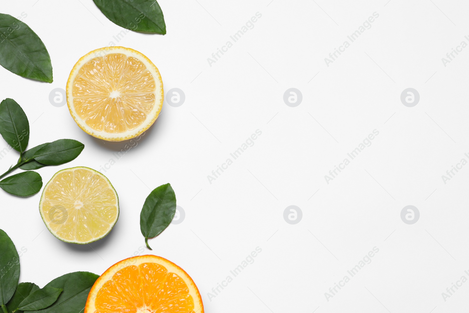 Photo of Different cut citrus fruits and leaves on white table, flat lay. Space for text