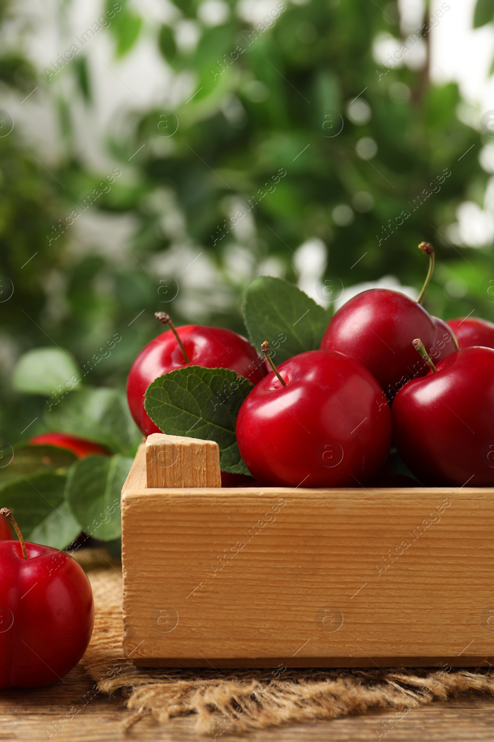 Photo of Fresh ripe cherry plums on wooden table outdoors