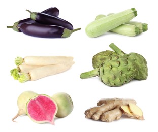 Collection of different fresh vegetables on white background