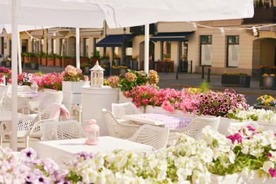 Outdoor cafe with beautiful flowers and comfortable furniture