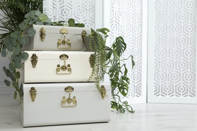 Photo of Decorative vintage suitcases with beautiful houseplants near folding screen in photo zone