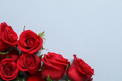 Beautiful red roses on grey background, flat lay. Space for text