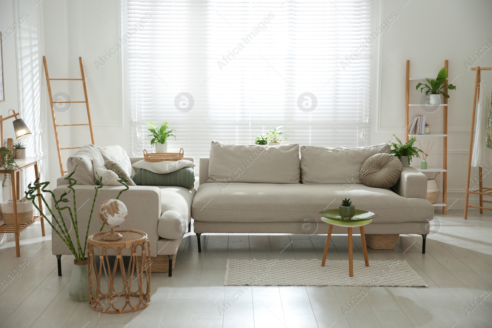 Photo of Stylish living room interior with comfortable grey sofa and plants