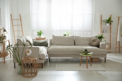 Photo of Stylish living room interior with comfortable grey sofa and plants