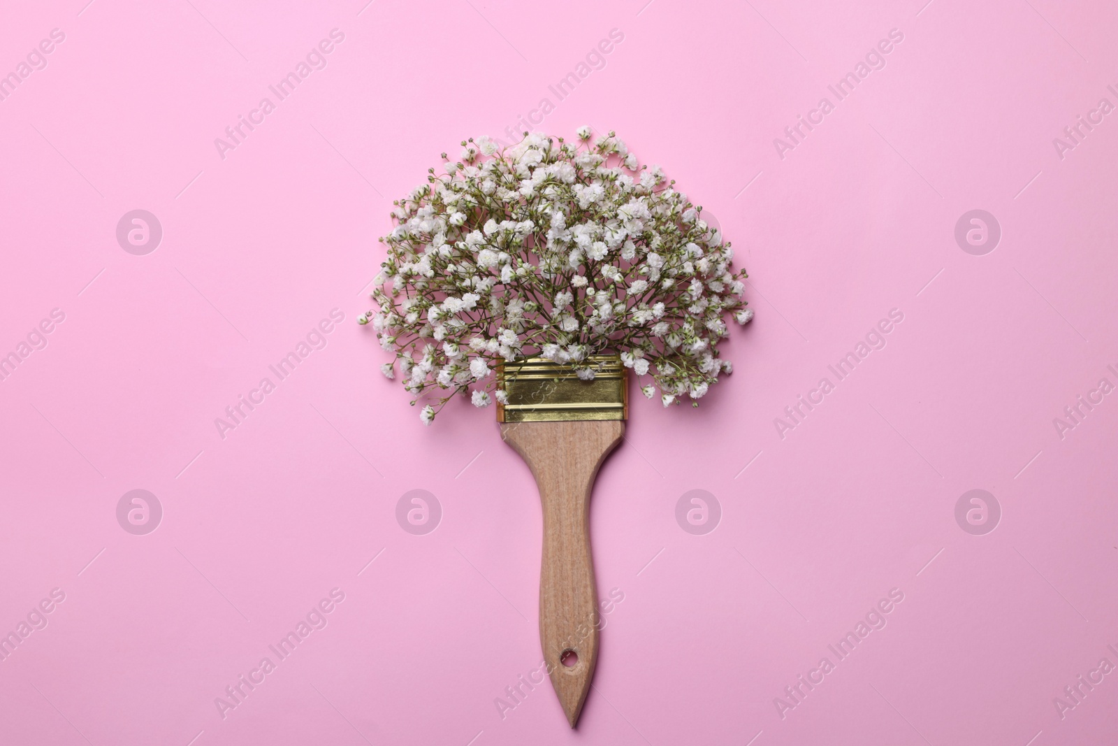 Photo of Creative composition with paint brush and gypsophila flowers on pink background, top view