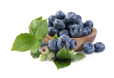 Fresh blueberries and leaves isolated on white
