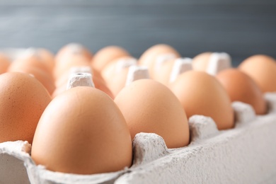 Photo of Raw chicken eggs in carton, closeup view