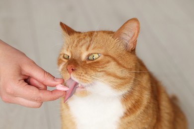 Photo of Woman giving vitamin pill to cute cat indoors, closeup