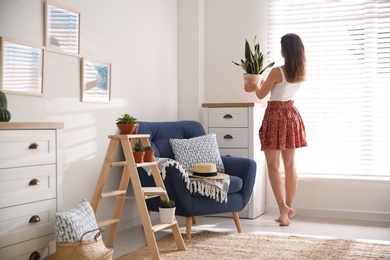 Photo of Woman carrying houseplant from wooden ladder to chest of drawers at home