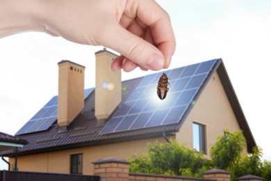Image of Woman holding dead cockroach and blurred view of modern house on background. Pest control