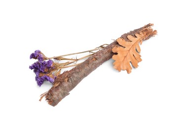 Photo of Dry tree twig, flowers and fallen leave isolated on white