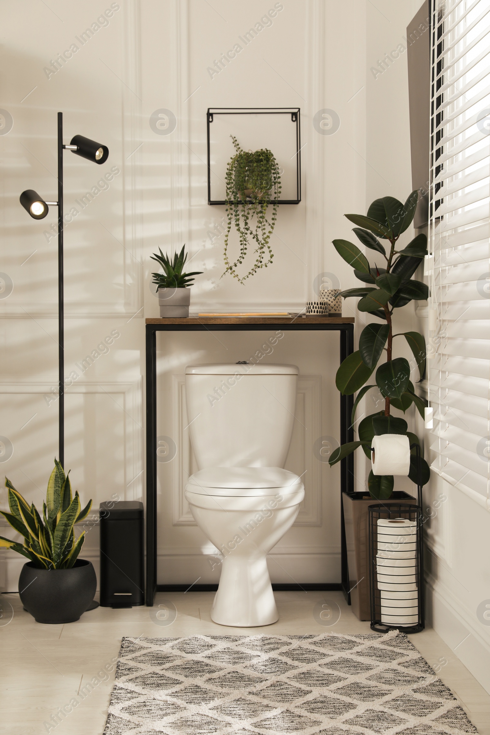 Photo of Stylish bathroom interior with toilet bowl and many beautiful houseplants