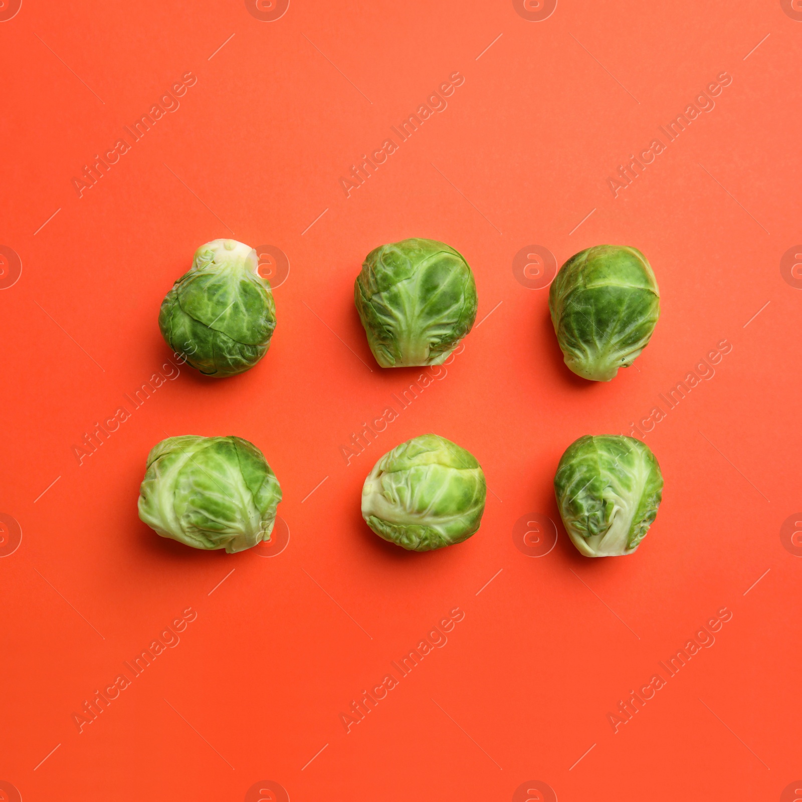 Photo of Fresh Brussels sprouts on coral background, flat lay