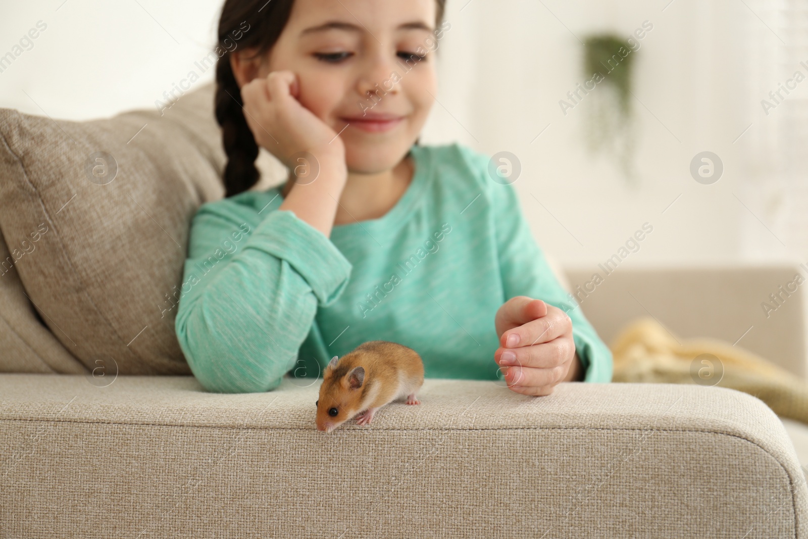 Photo of Little girl with cute hamster on sofa at home