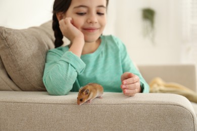 Little girl with cute hamster on sofa at home