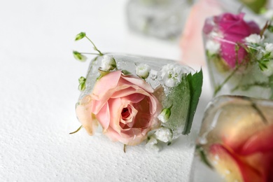 Photo of Ice cubes with flowers on white background, closeup