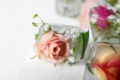 Ice cubes with flowers on white background, closeup